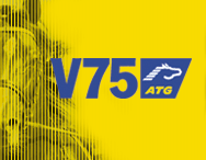 V75-tips